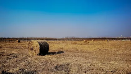 ウィンジネーター カジノ モバイルアプリ